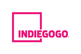 Read more about the article Success Tips for Indiegogo Campaigns
