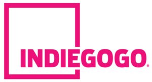 Read more about the article Mastering the Steps to a Winning Indiegogo Campaign