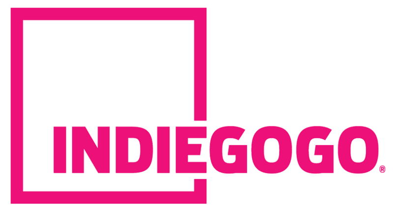 You are currently viewing Mastering the Steps to a Winning Indiegogo Campaign