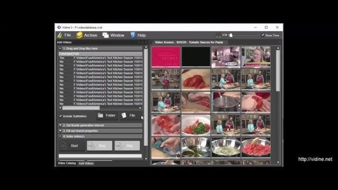 Vidine video clip manager software review