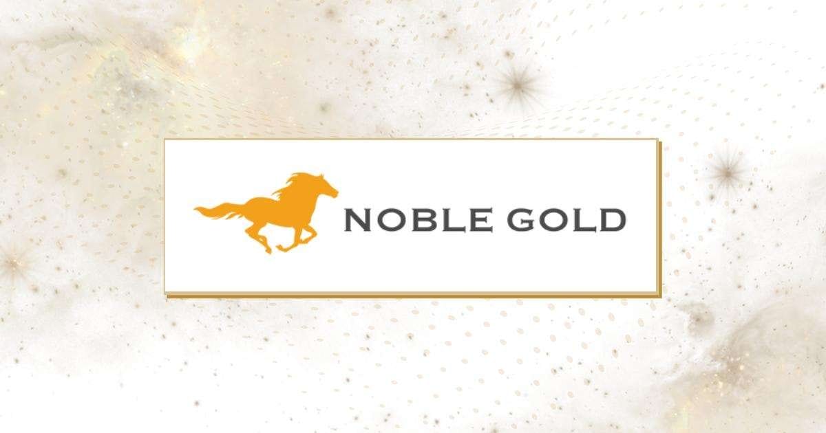 Read more about the article Noble Gold Investments: The Pros and Cons Review
