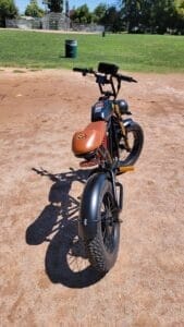 Read more about the article The Motor Goat Electric Bike Review